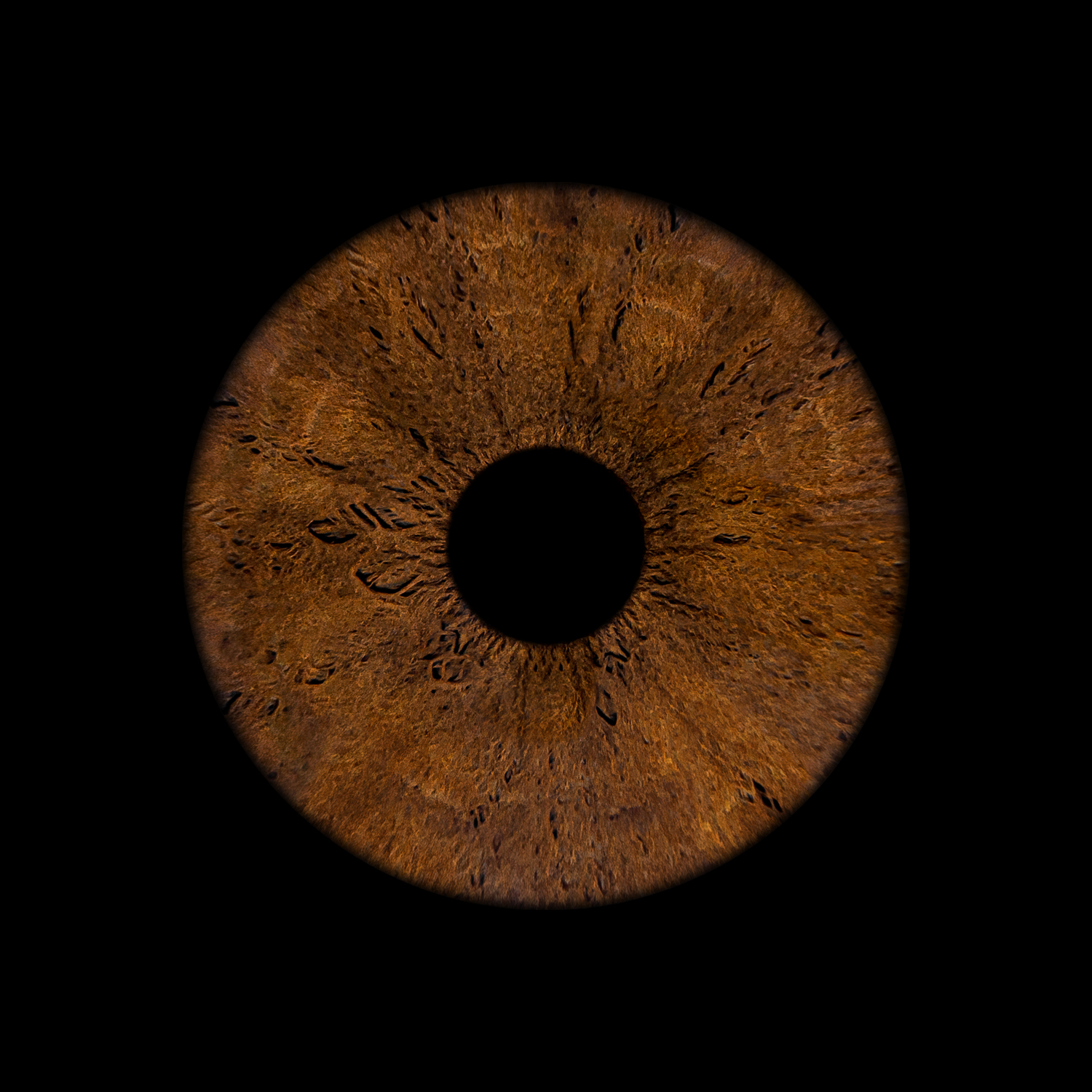 Eye Logo